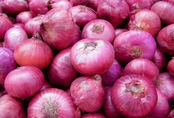 onion payaz 1kg