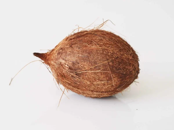 Coconut